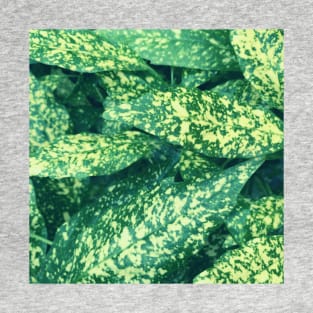 Speckled green leaf photo T-Shirt